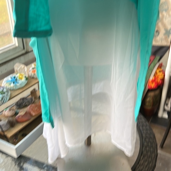 Worthington Ladies plus size aqua and white lined top - Picture 7 of 7